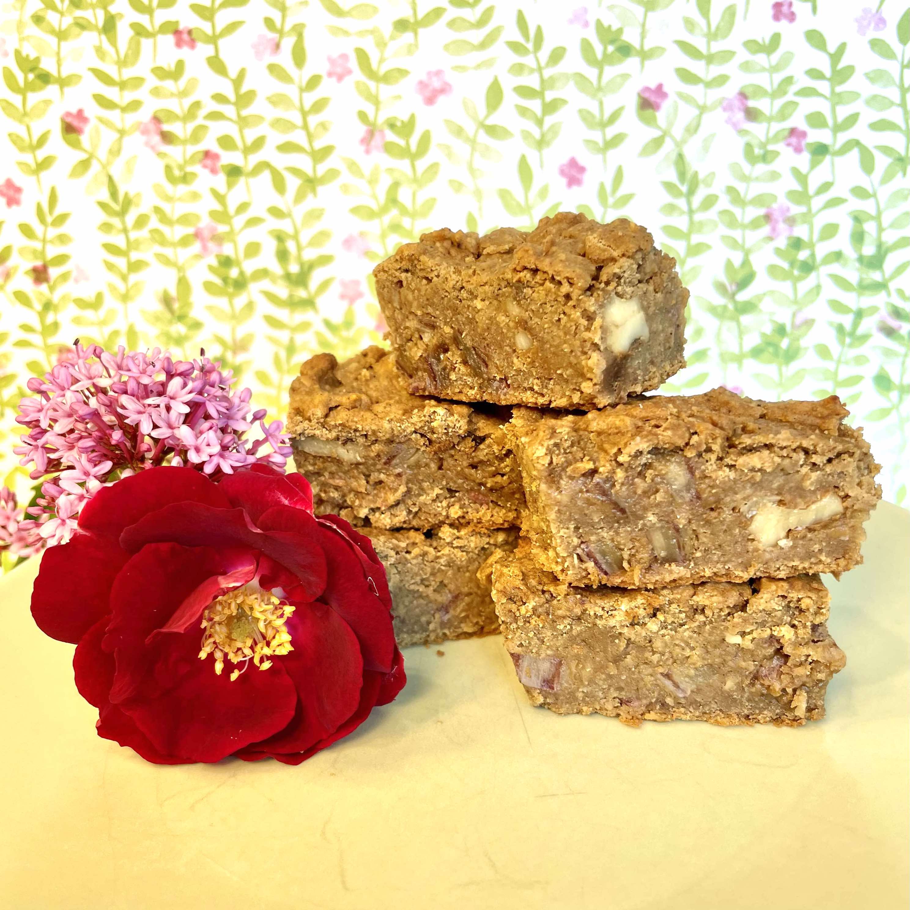 Vegan Chickpea Date Nut Bars ~ Gluten-Free ~ Oil-Free ~ WFPB